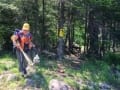 algonquin-canoe03
