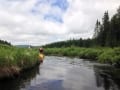 algonquin-canoe10