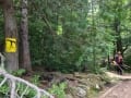 algonquin-canoe18