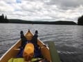 algonquin-canoe19