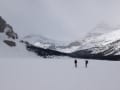 Bow_yoho_ski_traverse_bow_lake