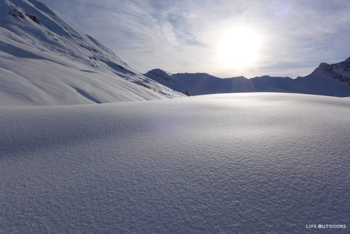 campbell11 campbell11