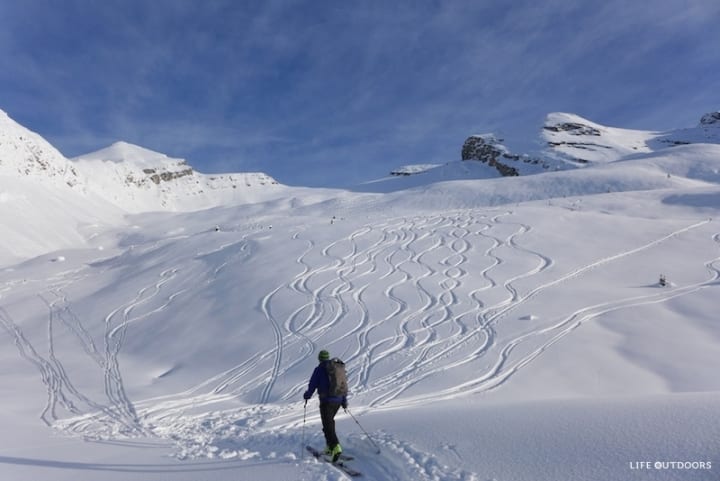 paradise-bowl paradise-bowl