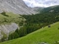Alpine meadows heading into the Carrot Creek route.