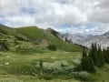Alpine meadows and view from Exshaw Pass.