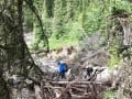 Creek bashing on Exshaw Creek.