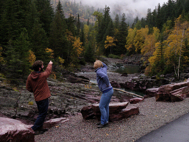Fall foliage along Going-to-the-Sun road in Glacier National Park, Montana. Photo Credit: Jeremy Yoder on Flickr