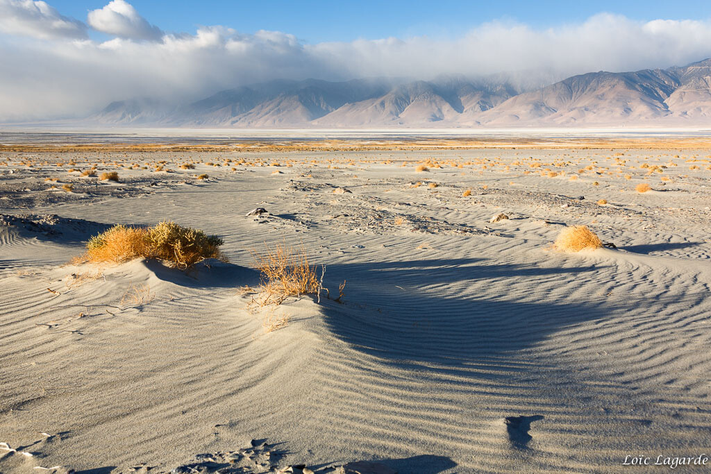 desert of death valley in fall