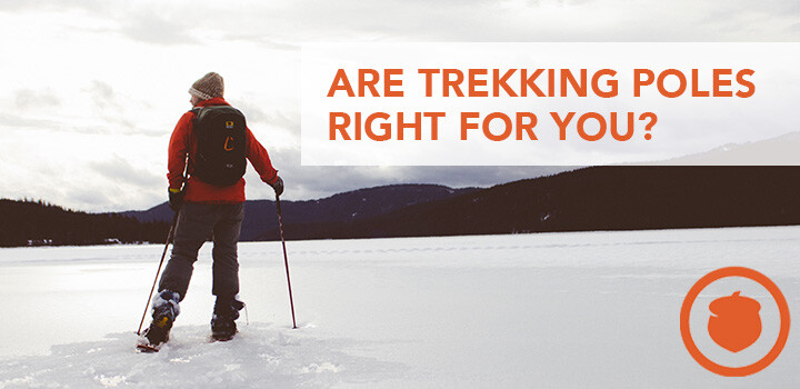The Pros and Cons of Hiking with Trekking Poles