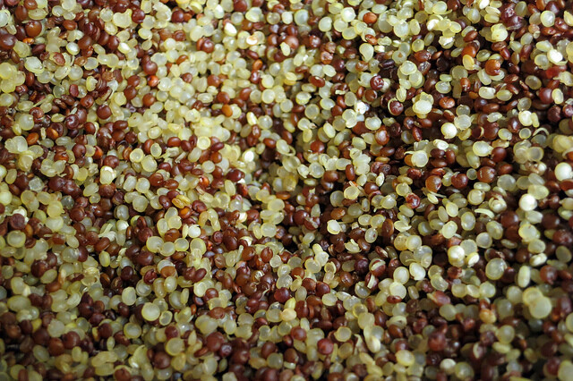 cooked quinoa 