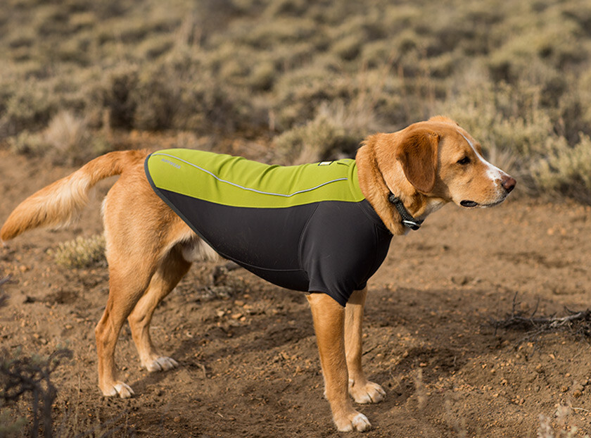 Ruffwear Cloud Chase Dog Coat