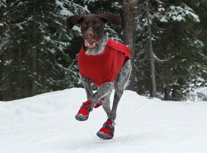 Ruffwear Polar Trex Dog Booties Boots