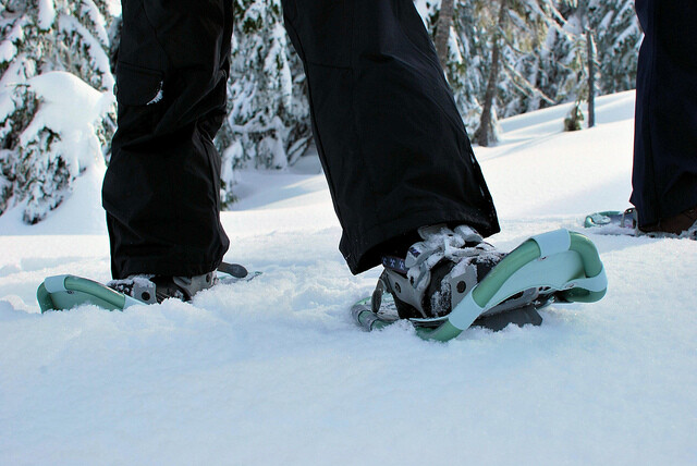 snowshoes in snow