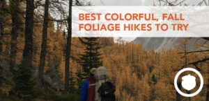 6 Trails for Beautiful Fall Foliage
