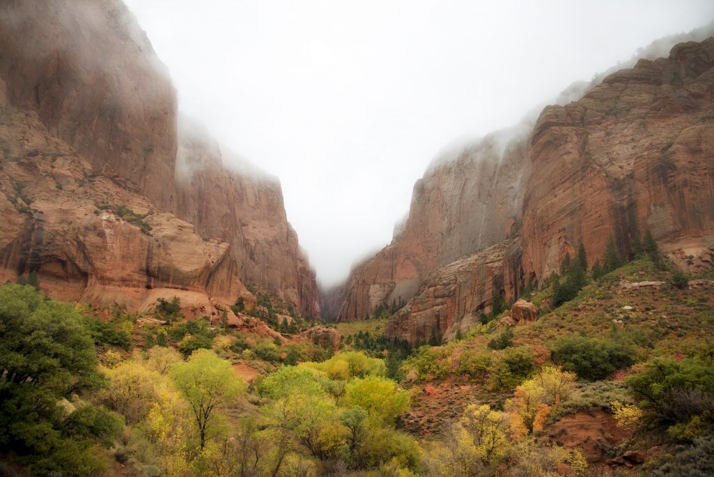 fall in zion national park in utah
