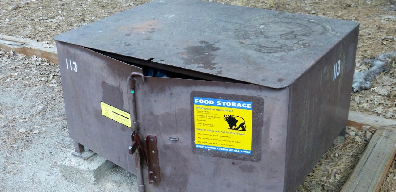 6 Tips for Animal-Proofing Your Campsite