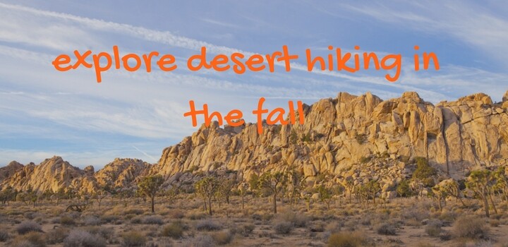 Discover America’s Desert National Parks This Fall