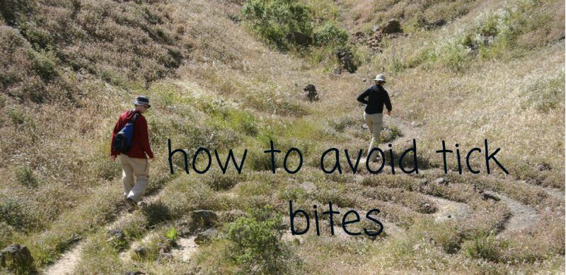 6 Ways to Avoid Tick Bites While Summer Hiking