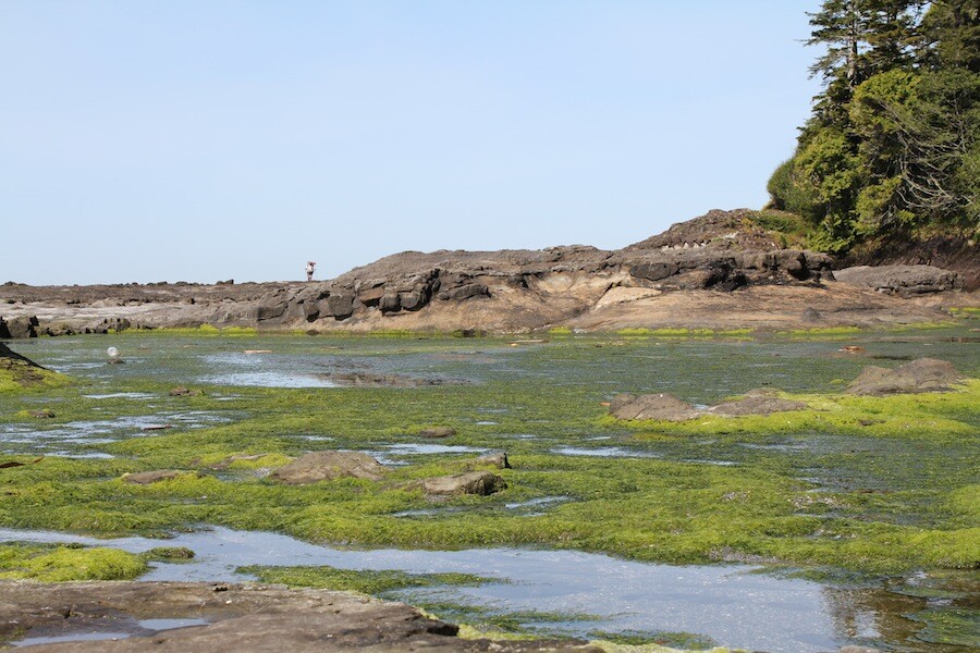 Backpacking the West Coast Trail