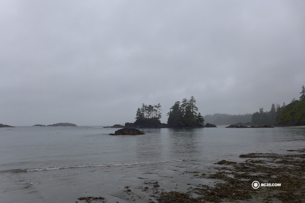 Grey skies and beautiful, wild beaches in Tofino.