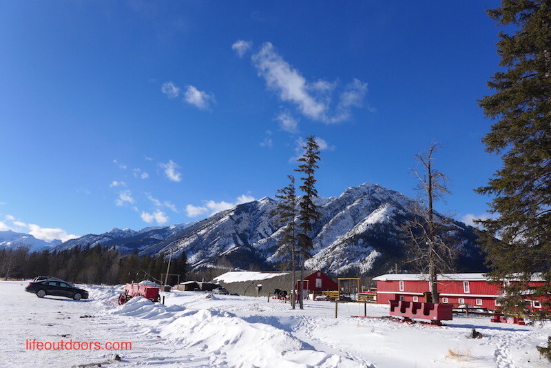 Warner stables in Banff are right next to the Bow river.