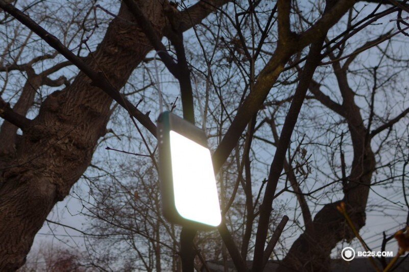 biolite powerlight mini on tree