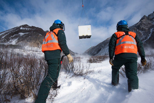 Bison were transported in a crate via helicopter. Image from Parks Canada and Huffington Post Canada.