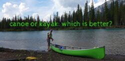 Kayak vs. Canoe: which is better for you?