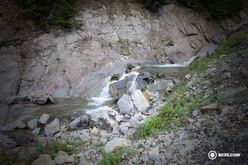 Try to find cold, fast moving water that has been filtered through rocks.