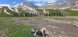 Finding wild spaces in busy summer tourist areas in the parks