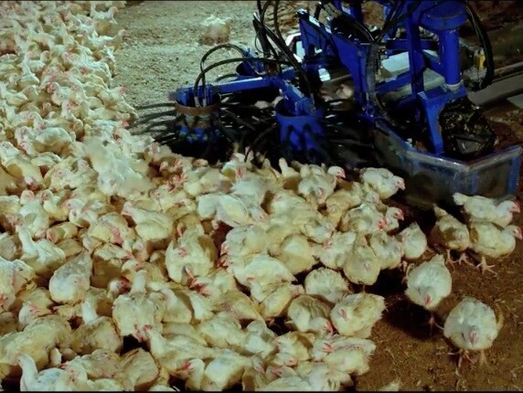 Without saying anything this short film will leave you speechless