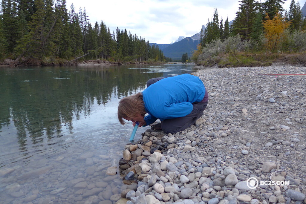 lifestraw personal water filter drinking through straw bc25