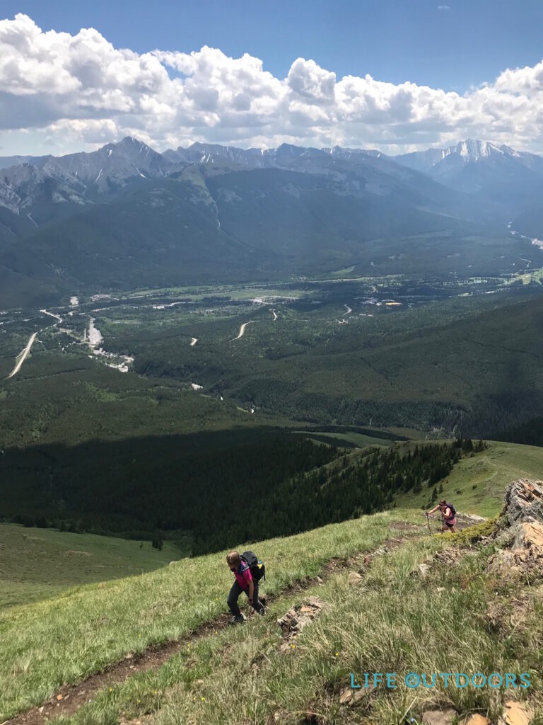 switchbacks mount allan centennial trail life outdoors