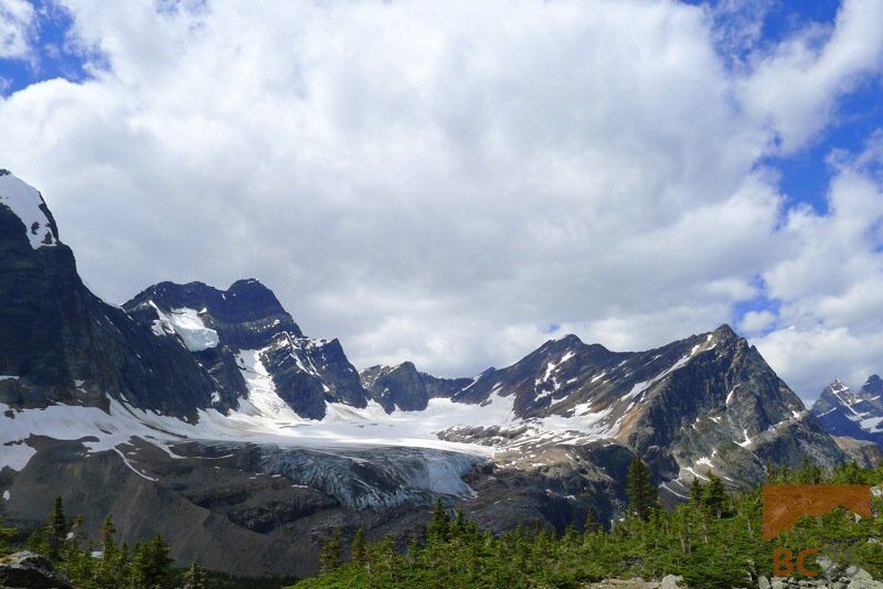 Tonquin Valley and Wates-Gibson Alpine Hut – Trip Report