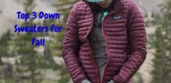 3 Best Down Sweaters for the Fall