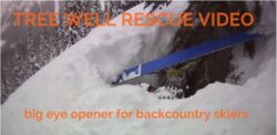 Tree well rescue video