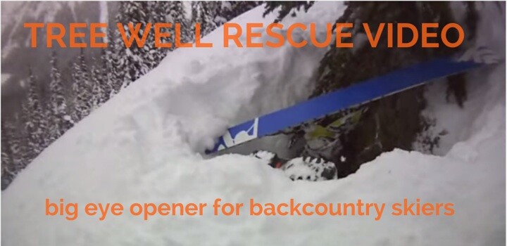 Tree well rescue video