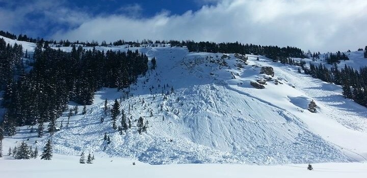 Skier Triggers Avalanche and Rides it out – Video
