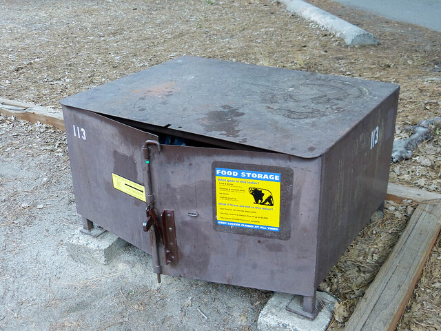 Bear canister at campsite, Yosemite valley