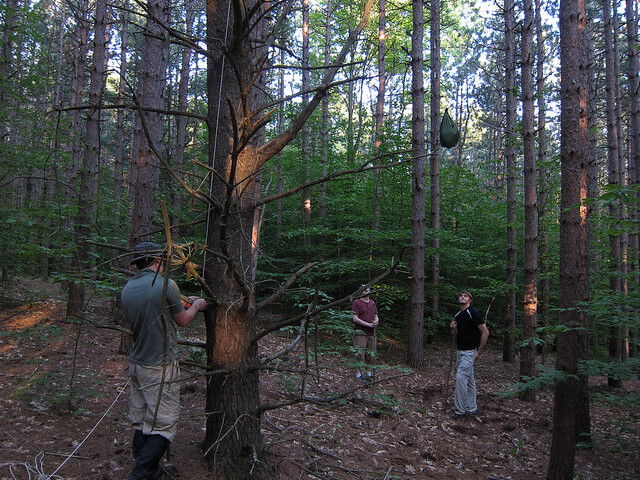 Hanging our bear bag